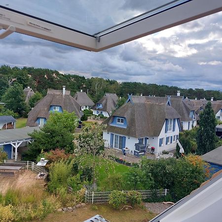 Haus 146 Kiefernweg 8 Villa Karlshagen Eksteriør billede